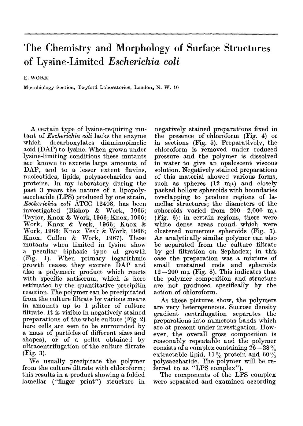 The chemistry and morphology of surface structures of lysine-limited <Emphasis Type="Italic">Escherichia coli <Emphasis> by Unknown