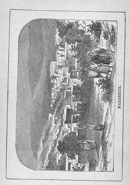 The child's scripture history [rucont-131152] by Unknown