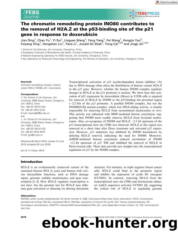 The chromatin remodeling protein INO80 contributes to the removal of H2A.Z at the p53âbinding site of the p21 gene in response to doxorubicin by Unknown