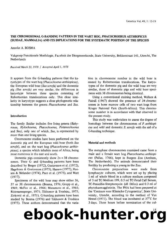 The chromosomal G-banding pattern in the wart hog, Phacochoerus aethiopicus (Suidae, mammalia) and its implications for the systematic position of the species by Unknown