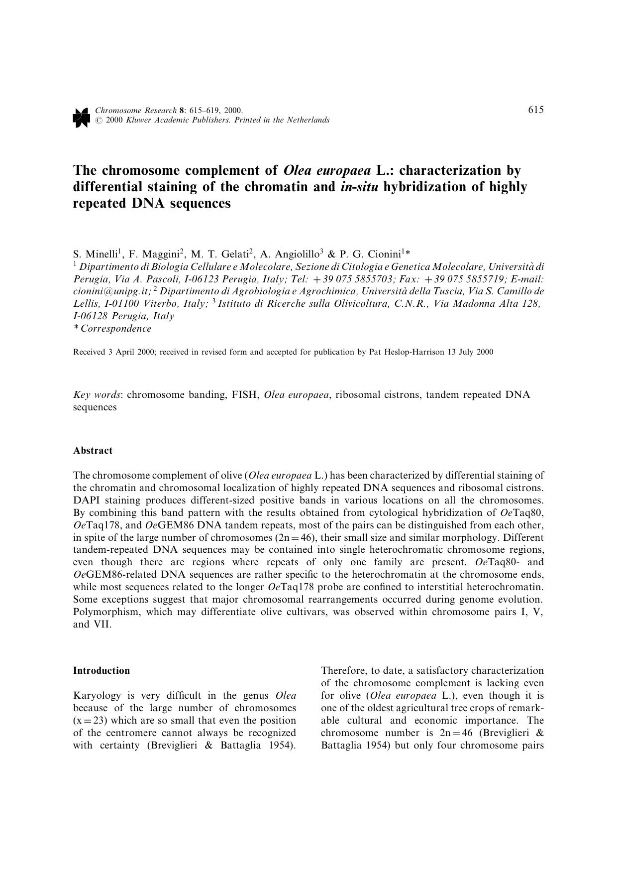 The chromosome complement of Olea europaea L.: characterization by differential staining of the chromatin and in-situ hybridization of highly repeated DNA sequences by Unknown