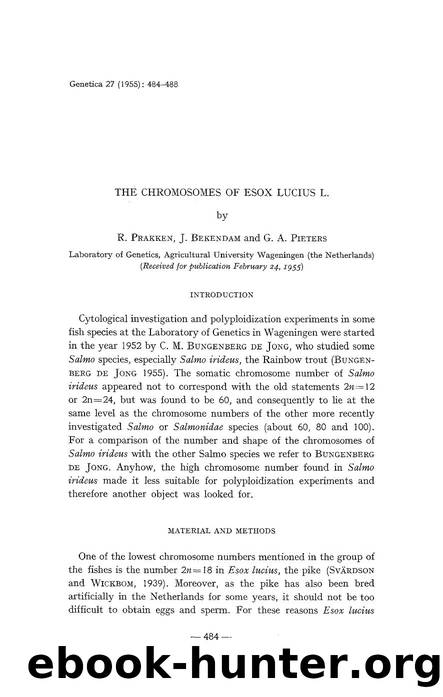 The chromosomes of esox lucius L. by Unknown