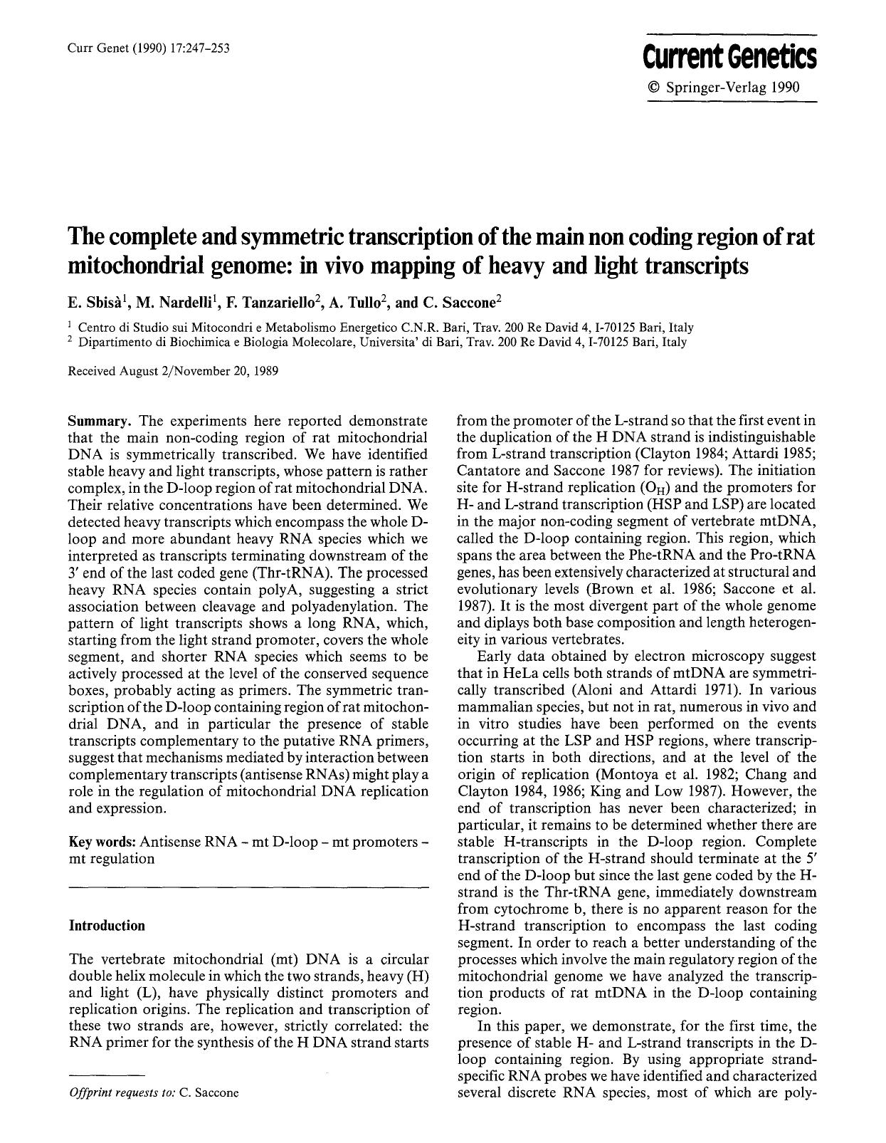 The complete and symmetric transcription of the main non coding region of rat mitochondrial genome: in vivo mapping of heavy and light transcripts by Unknown