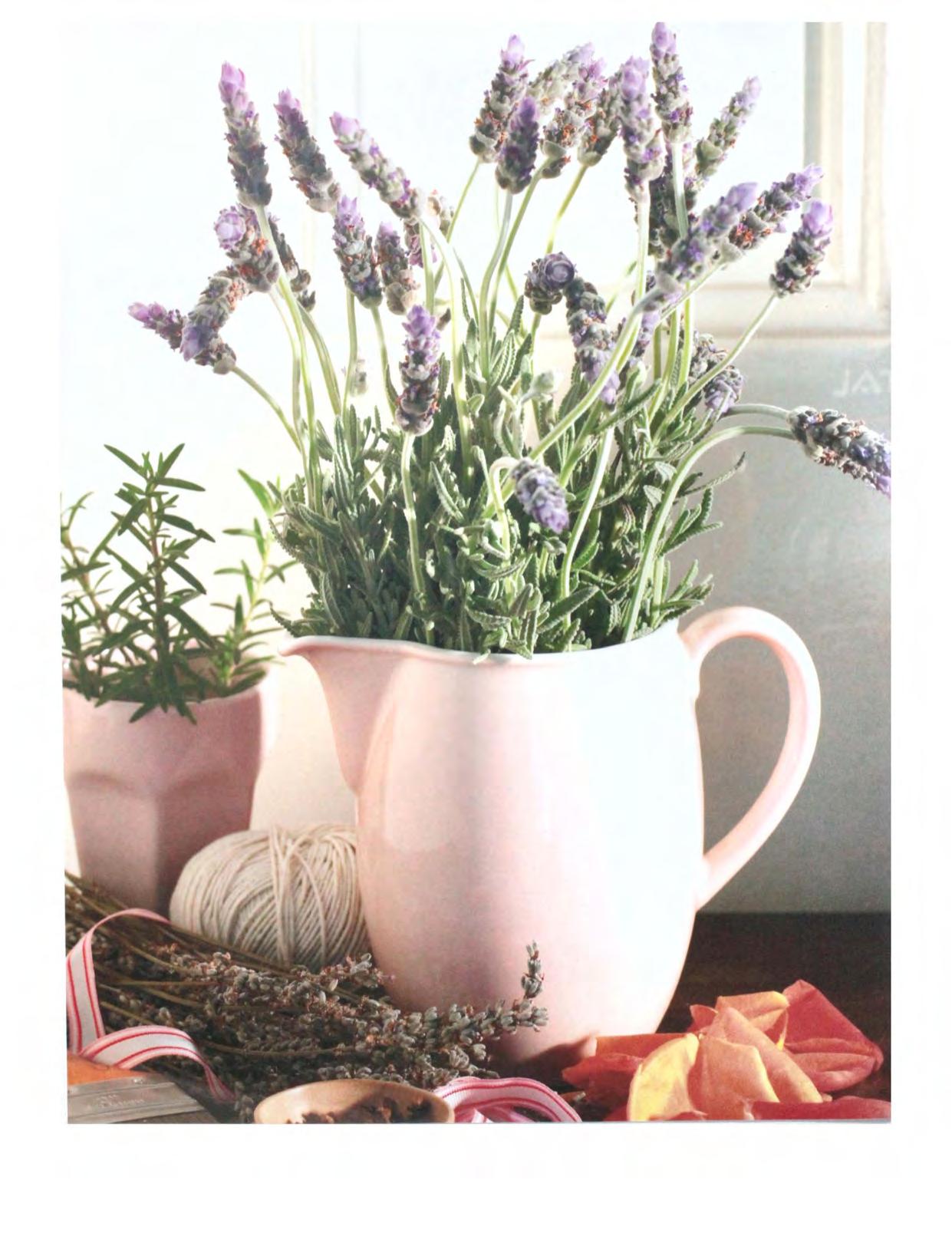 The complete illustrated book to herbs by growing health & beauty cooking crafts