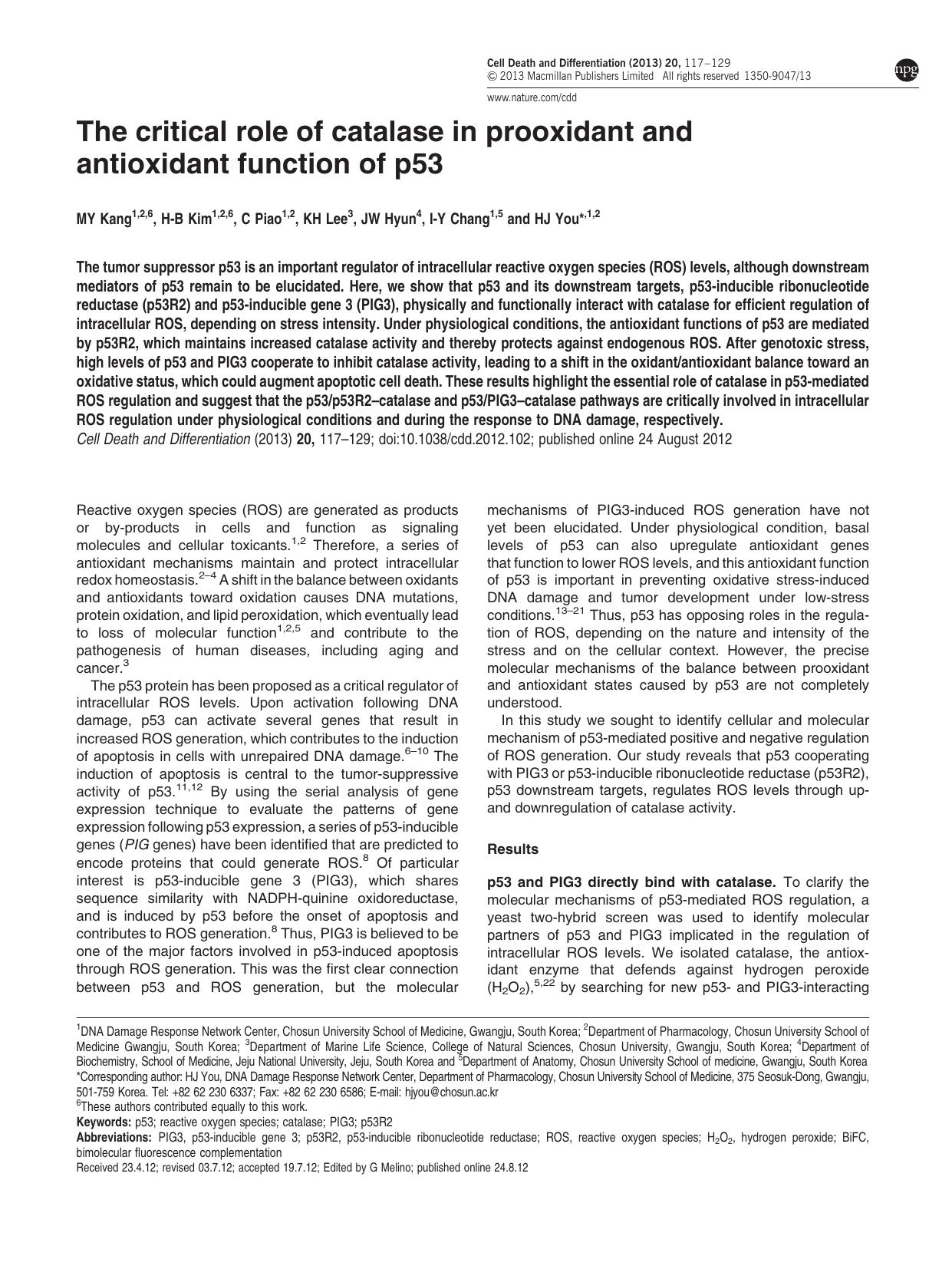 The critical role of catalase in prooxidant and antioxidant function of p53 by M Y Kang & H-B Kim & C Piao & K H Lee & J W Hyun & I-Y Chang & H J You
