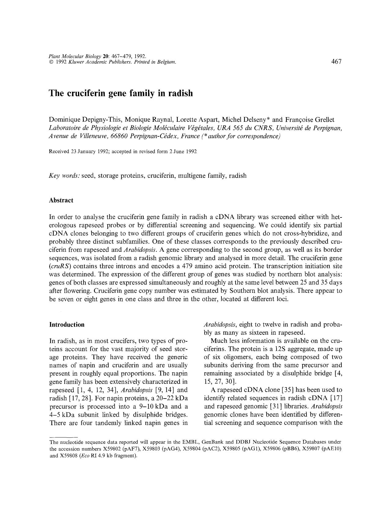 The cruciferin gene family in radish by Unknown