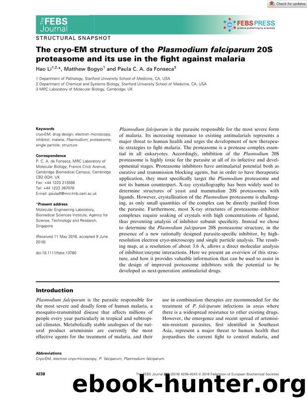 The cryoâEM structure of the Plasmodium falciparum 20S proteasome and its use in the fight against malaria by Unknown