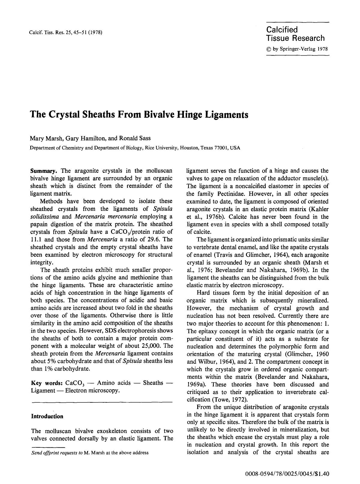 The crystal sheaths from bivalve hinge ligaments by Unknown
