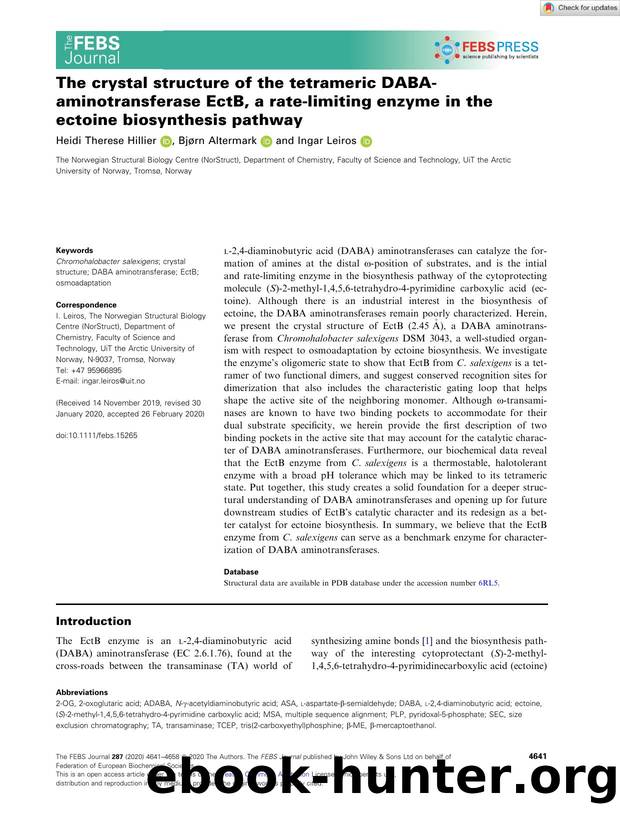 The crystal structure of the tetrameric DABAâaminotransferase EctB, a rateâlimiting enzyme in the ectoine biosynthesis pathway by Unknown