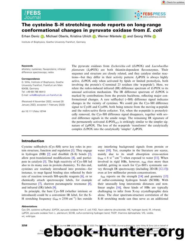 The cysteine SâH stretching mode reports on longârange conformational changes in pyruvate oxidase from E.Â coli by Unknown