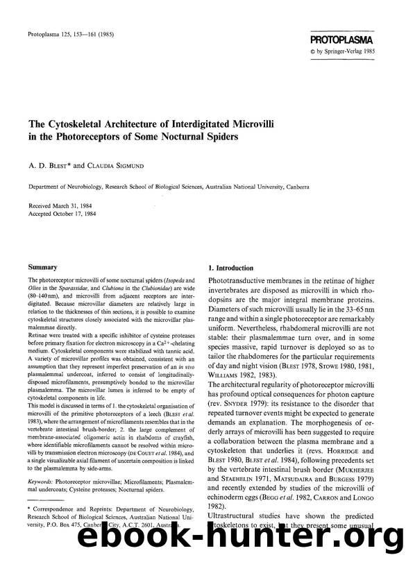 The cytoskeletal architecture of interdigitated microvilli in the photoreceptors of some nocturnal spiders by Unknown