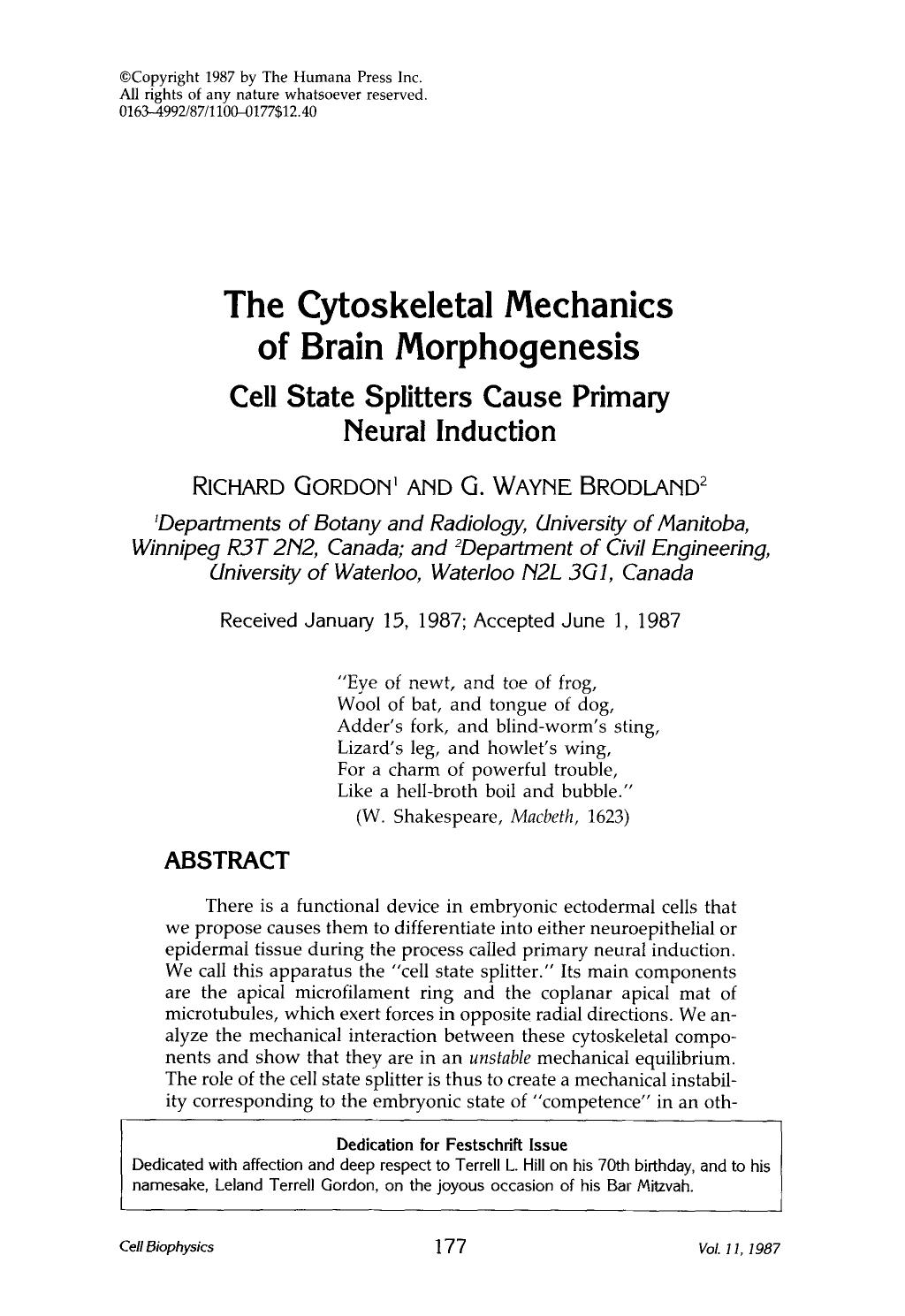 The cytoskeletal mechanics of brain morphogenesis by Unknown