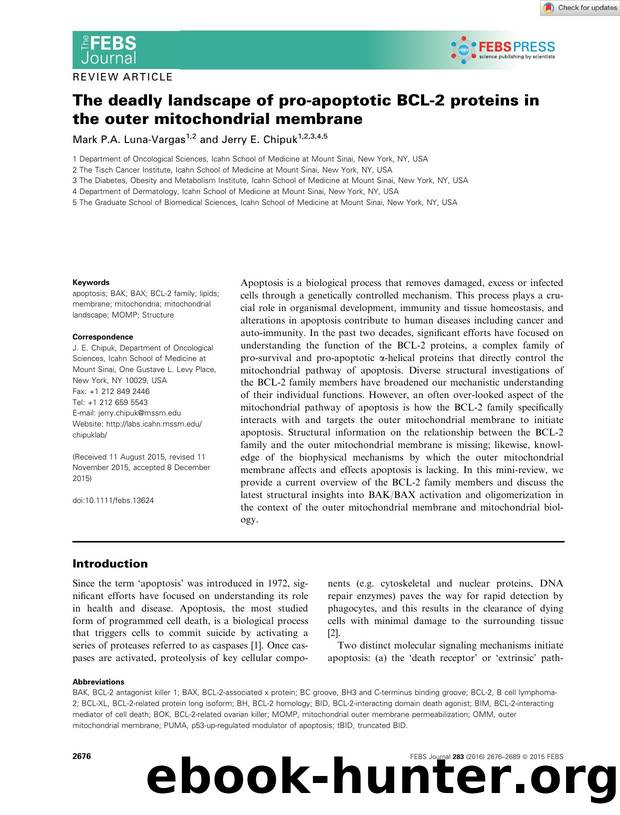 The deadly landscape of proâapoptotic BCLâ2 proteins in the outer mitochondrial membrane by Unknown
