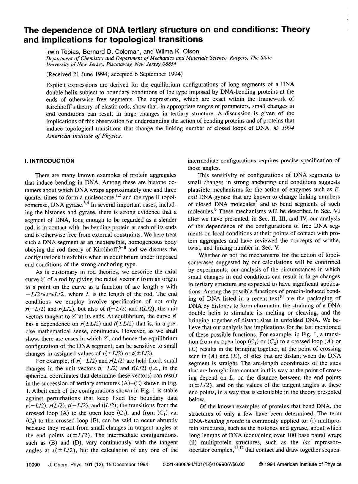 The dependence of DNA tertiary structure on end conditions: Theory and implications for topological transitions by Irwin Tobias; Bernard D. Coleman; Wilma K. Olson