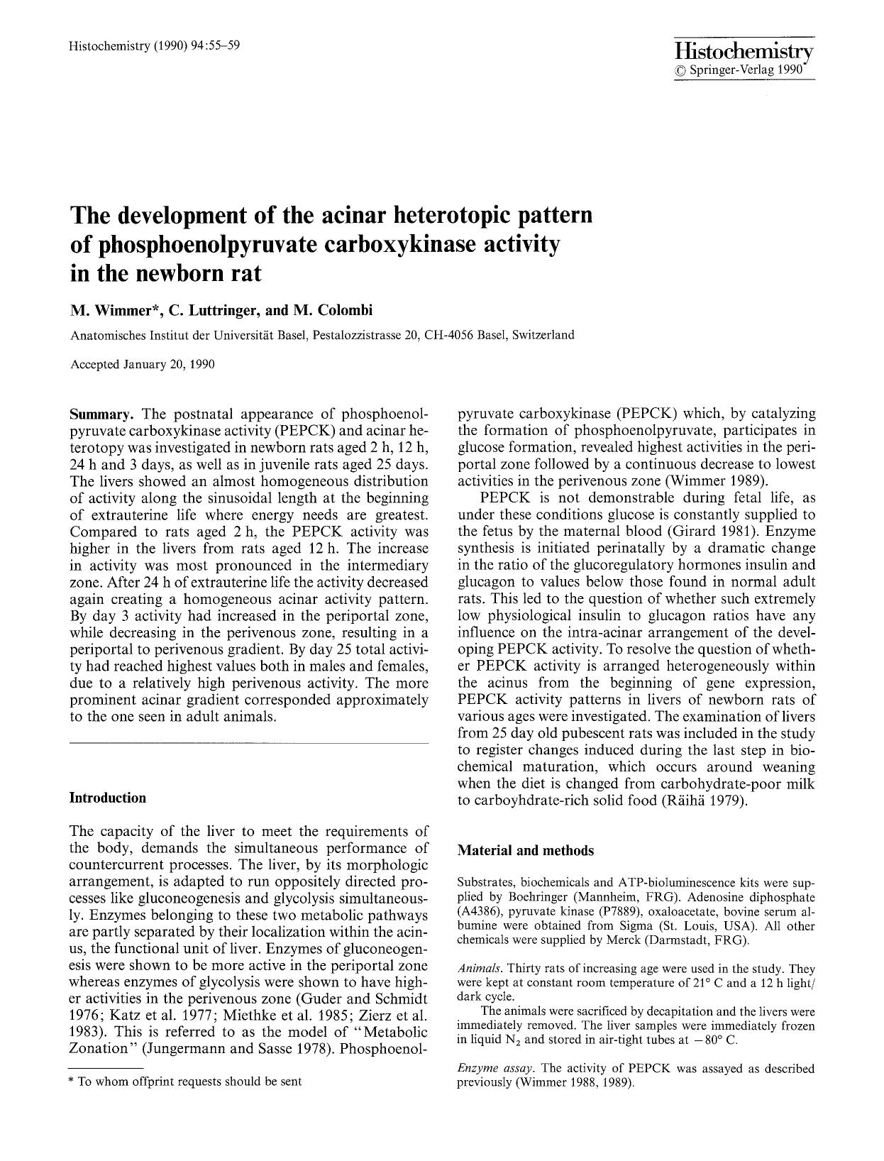 The development of the acinar heterotopic pattern of phosphoenolpyruvate carboxykinase activity in the newborn rat by Unknown