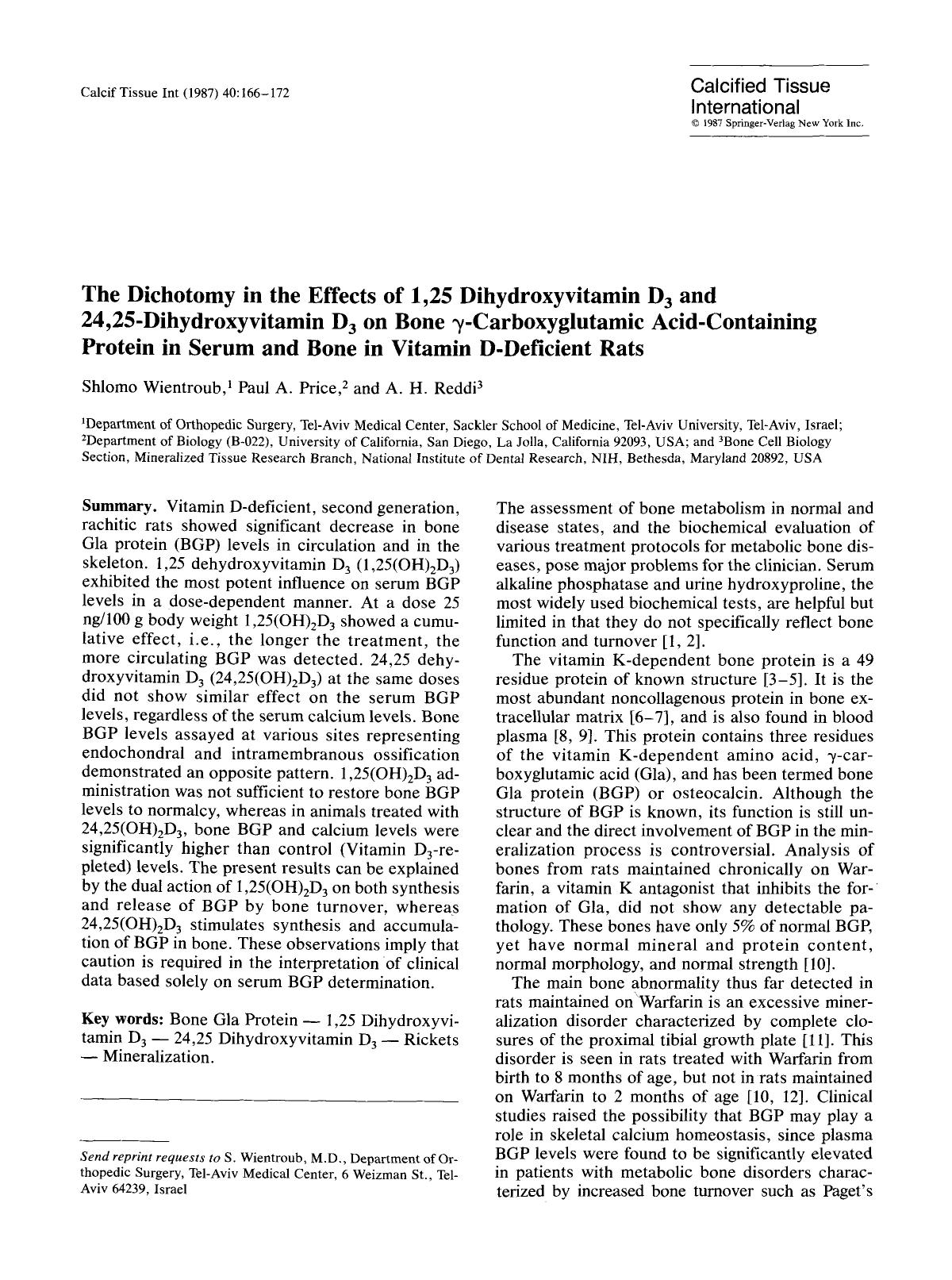 The dichotomy in the effects of 1,25 dihydroxyvitamin D <Subscript>3 <Subscript> and 24,25-dihydroxyvitamin D <Subscript>3 <Subscript> on bone γ-carboxyglutamic acid-contain by Unknown
