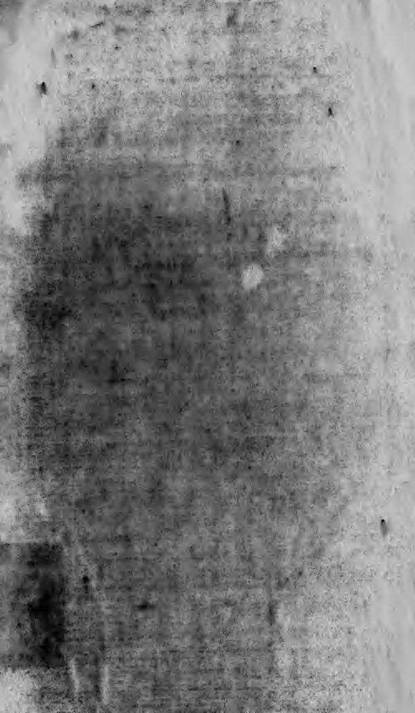 The diegesis : being a discovery of the origin, evidences and early history of Christianity, never yet before or elsewhere so fully and faithfully set forth by Taylor Robert 1784-1844