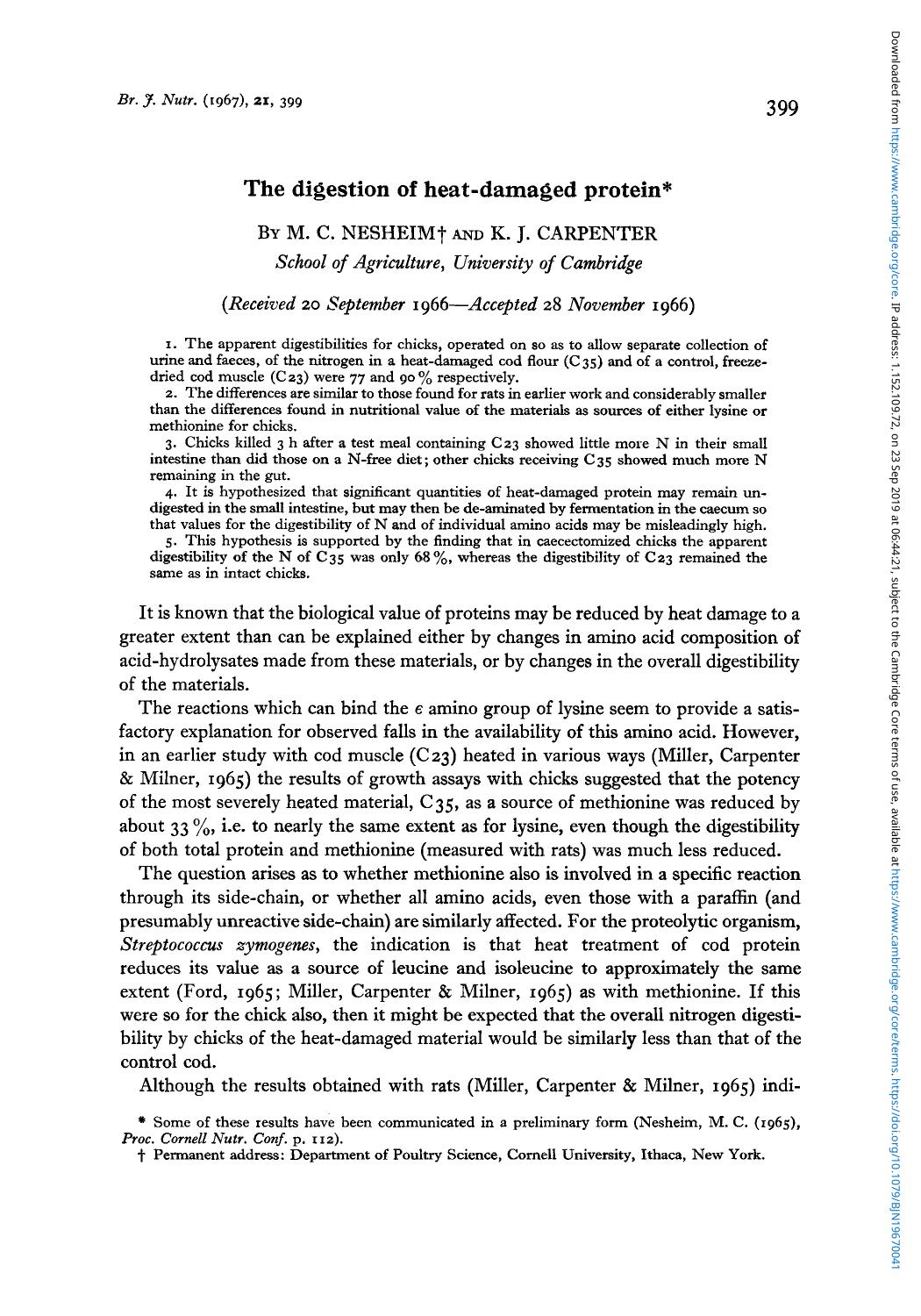 The digestion of heat-damaged protein by M. C. Nesheim K. J. Carpenter