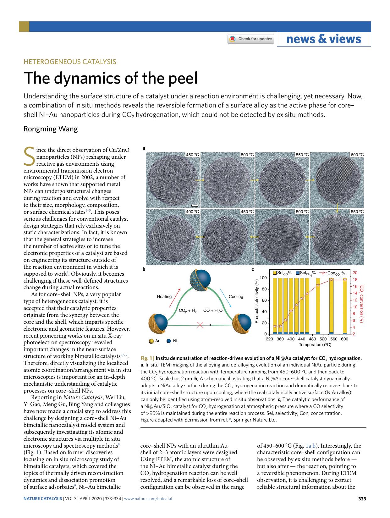 The dynamics of the peel by Rongming Wang