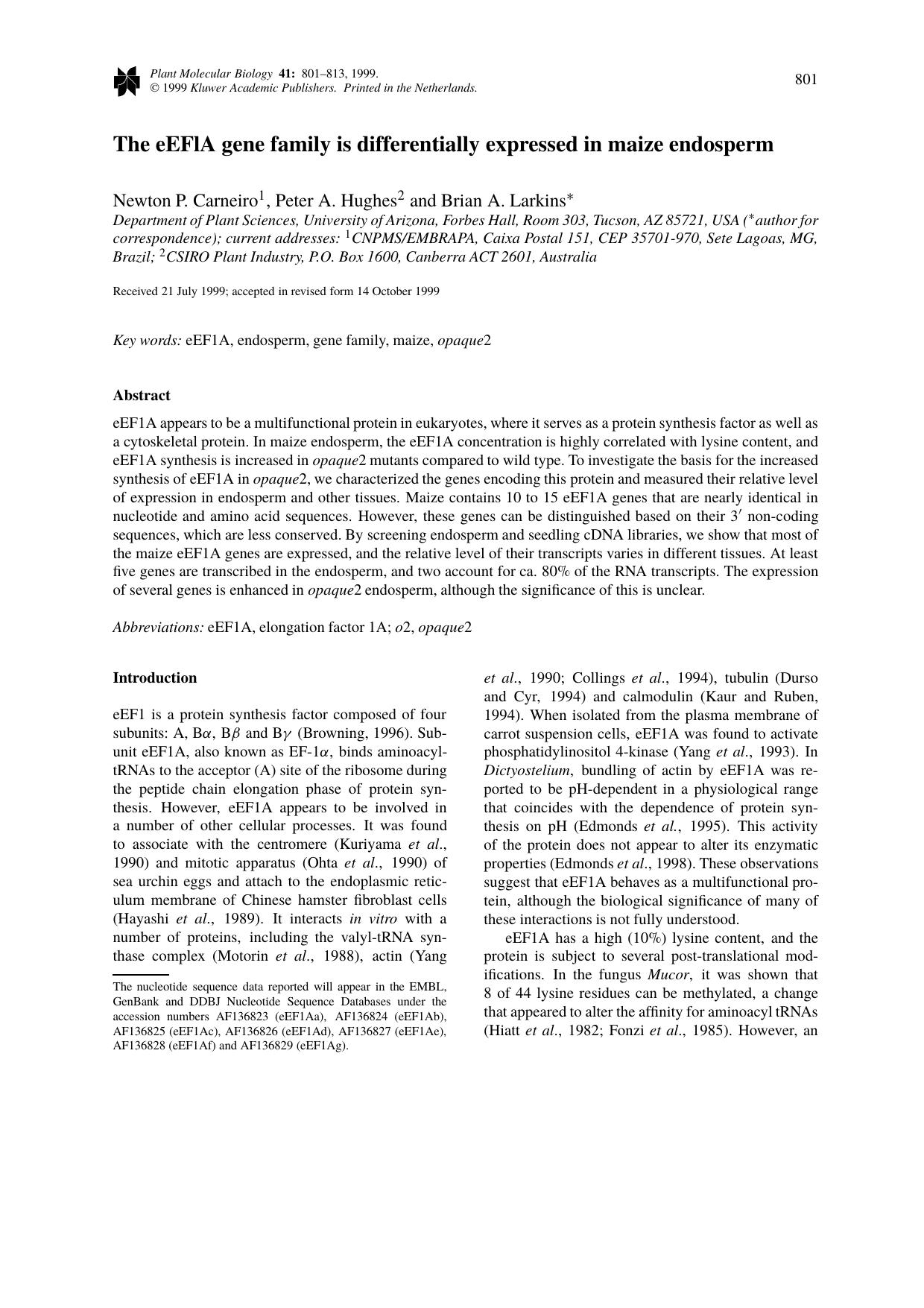 The eEFlA gene family is differentially expressed in maize endosperm by Unknown