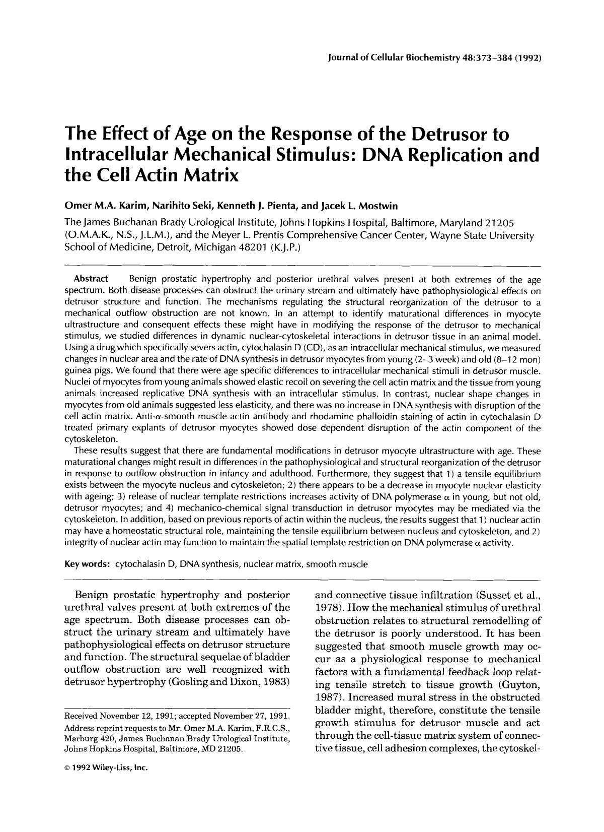 The effect of age on the response of the detrusor to intracellular mechanical stimulus: DNA replication and the cell actin matrix by Unknown