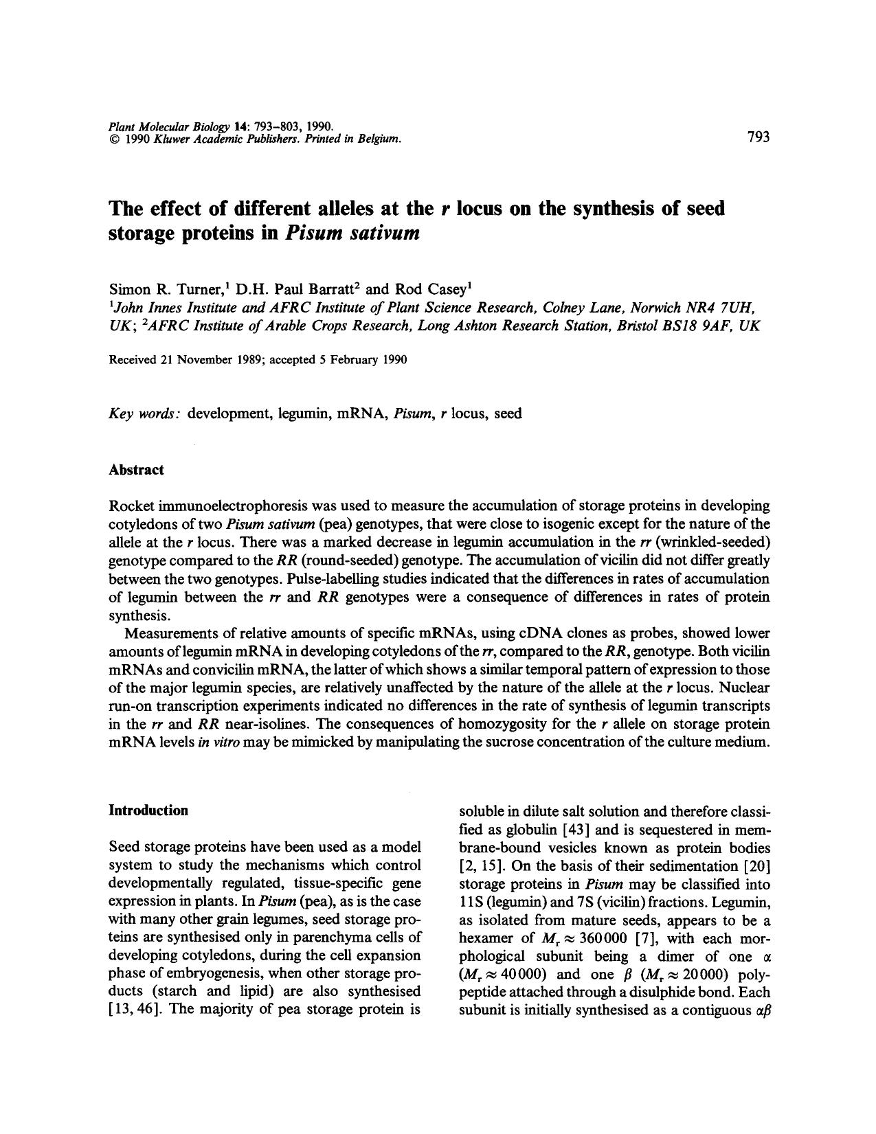 The effect of different alleles at the <Emphasis Type="Italic">r <Emphasis> locus on the synthesis of seed storage proteins in <Emphasis Type="Italic">Pisum sativum <Emphasis> by Unknown