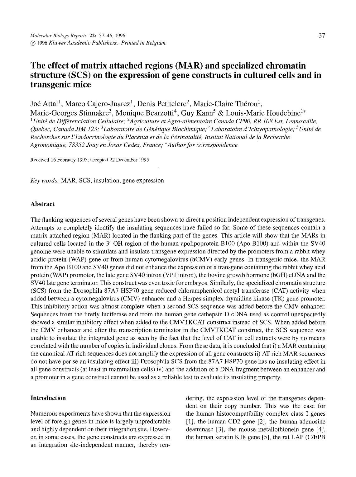 The effect of matrix attached regions (MAR) and specialized chromatin structure (SCS) on the expression of gene constructs in cultured cells and in transgenic mice by Unknown