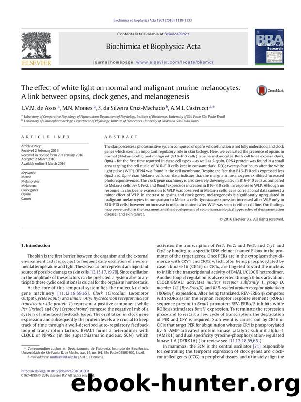 The effect of white light on normal and malignant murine melanocytes: A link between opsins, clock genes, and melanogenesis by L.V.M. de Assis & M.N. Moraes & S. da Silveira Cruz-Machado & A.M.L. Castrucci