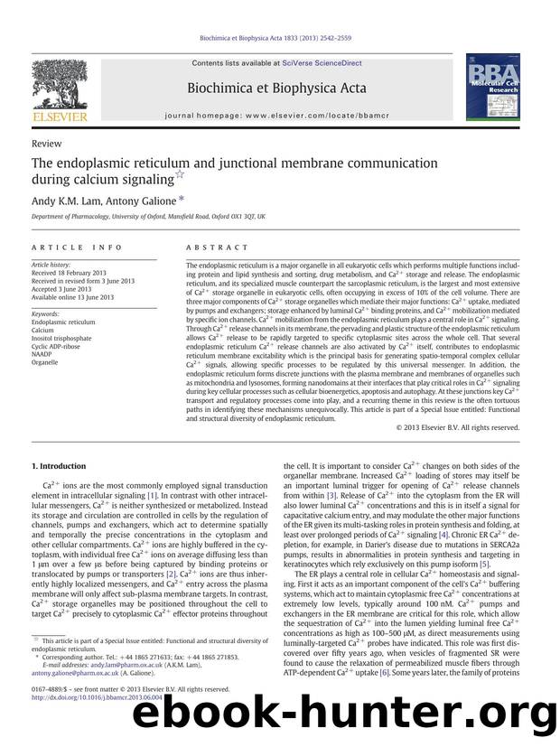 The endoplasmic reticulum and junctional membrane communication during calcium signaling by Andy K.M. Lam & Antony Galione