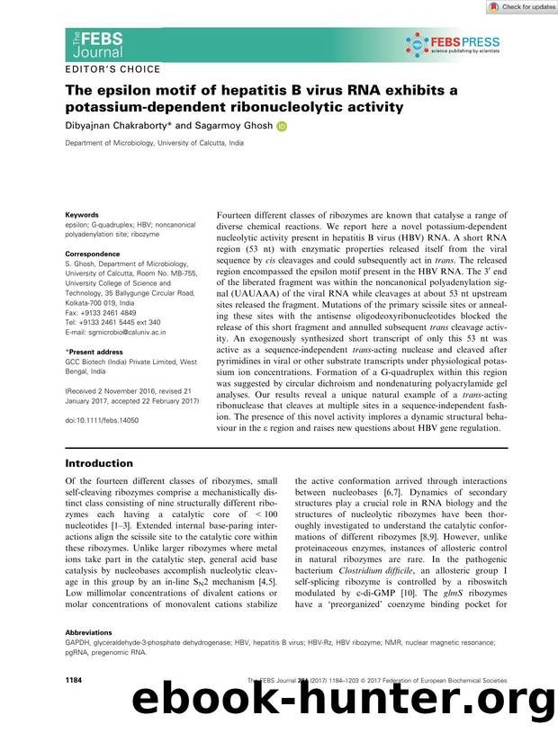 The epsilon motif of hepatitis B virus RNA exhibits a potassiumâdependent ribonucleolytic activity by Unknown