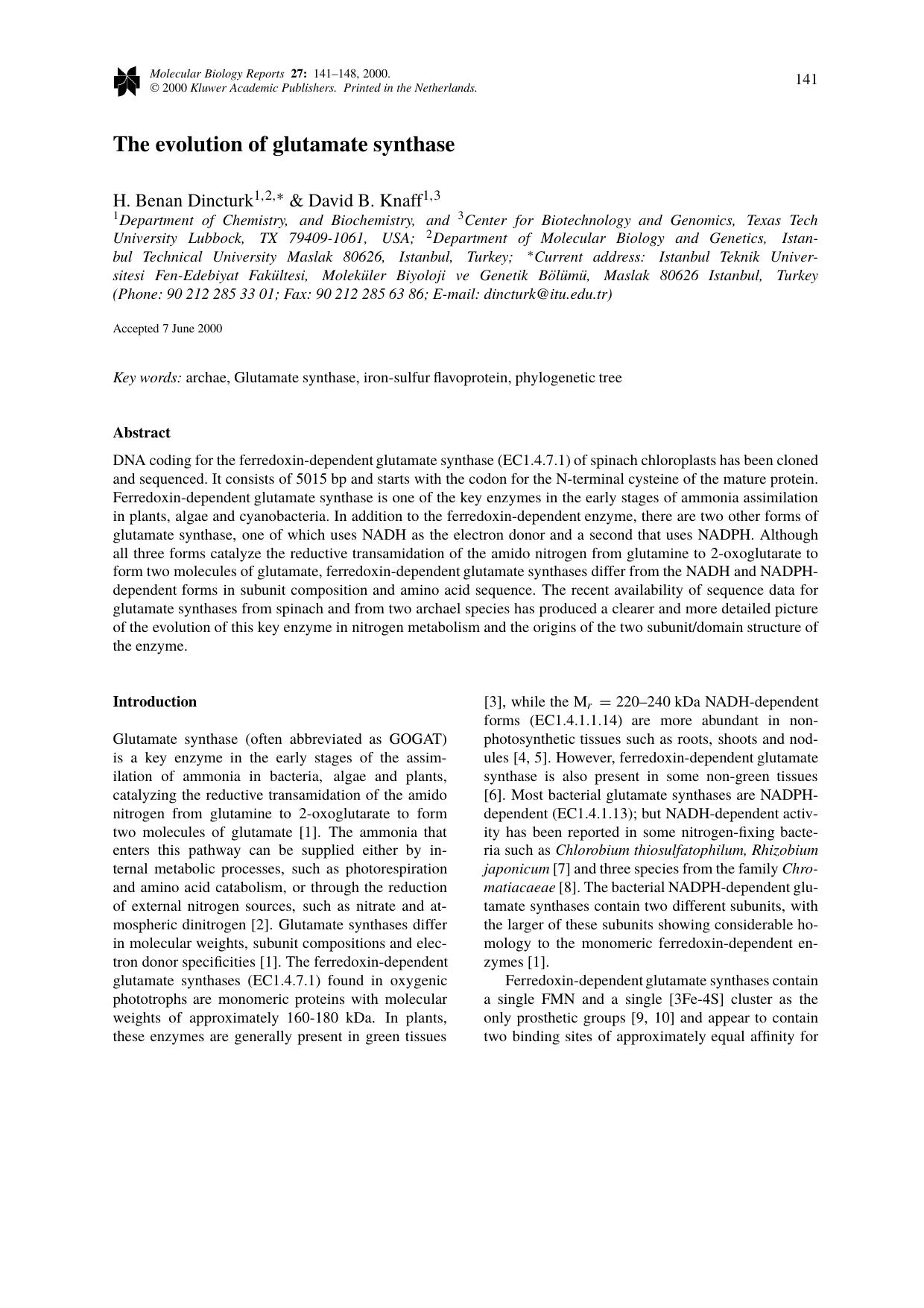 The evolution of glutamate synthase by Unknown