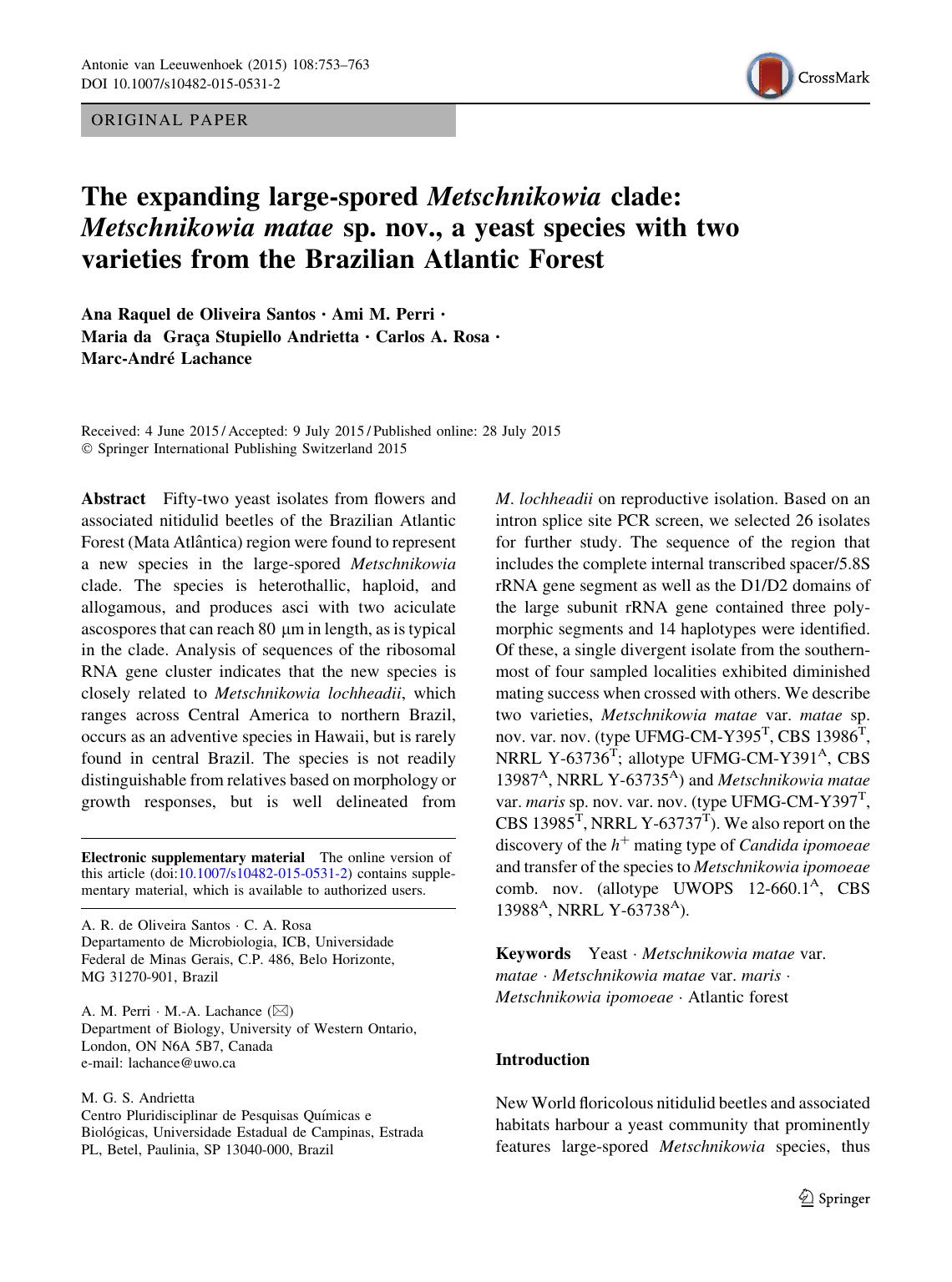 The expanding large-spored Metschnikowia clade: Metschnikowia matae sp. nov., a yeast species with two varieties from the Brazilian Atlantic Forest by unknow