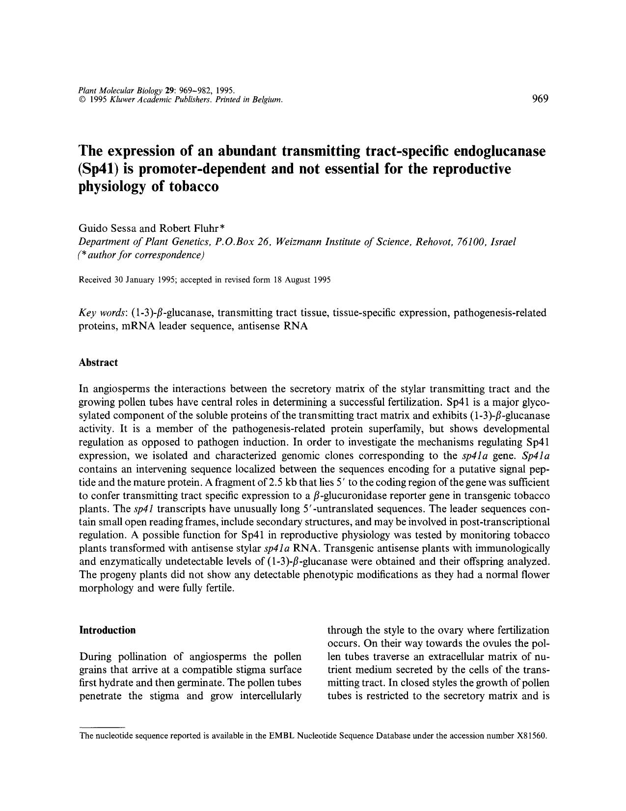 The expression of an abundant transmitting tract-specific endoglucanase (Sp41) is promoter-dependent and not essential for the reproductive physiology of tobacco by Unknown