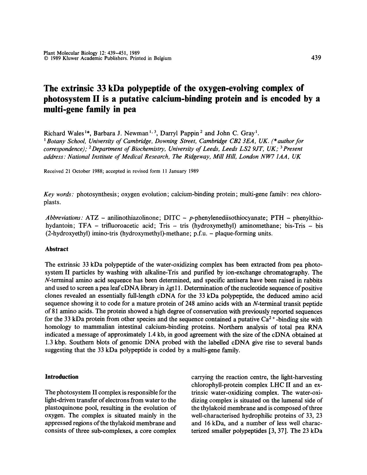 The extrinsic 33 kDa polypeptide of the oxygen-evolving complex of photosystem II is a putative calcium-binding protein and is encoded by a multi-gene family in pea by Unknown