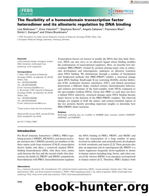 The flexibility of a homeodomain transcription factor heterodimer and its allosteric regulation by DNA binding by Unknown