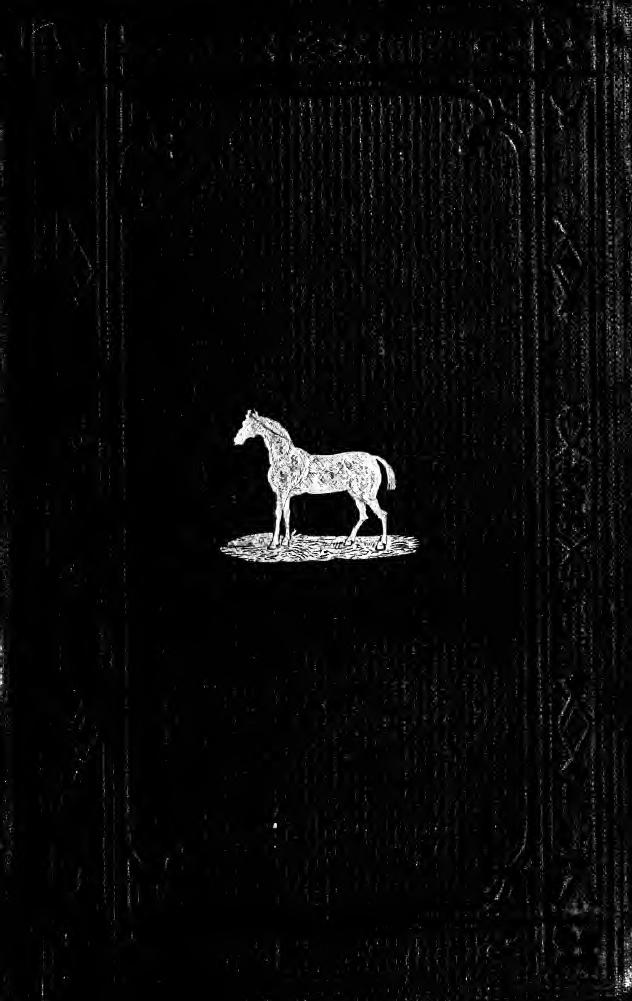 The form of the horse as it lies open to the inspection of the ordinary observer by Carson James C. L. (James Crawford Ledlie) 1815?-1886