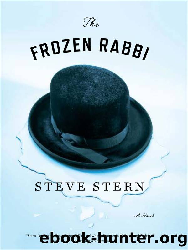 The frozen rabbi by Steve Stern