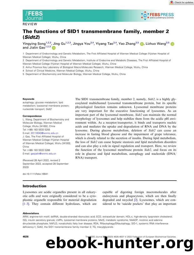 The functions of SID1 transmembrane family, member 2 (Sidt2) by Unknown