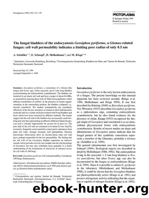 The fungal bladders of the endocyanosis <Emphasis Type="Italic">Geosiphon pyriforme <Emphasis>, a <Emphasis Type="Italic">Glomus <Emphasis>-related fungus: cell wall permeability i by Unknown