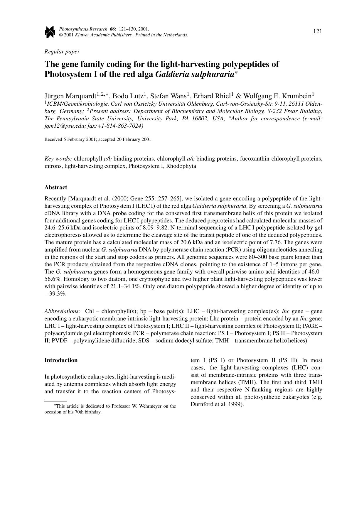 The gene family coding for the light-harvesting polypeptides of Photosystem I of the red alga Galdieria sulphuraria* by Unknown