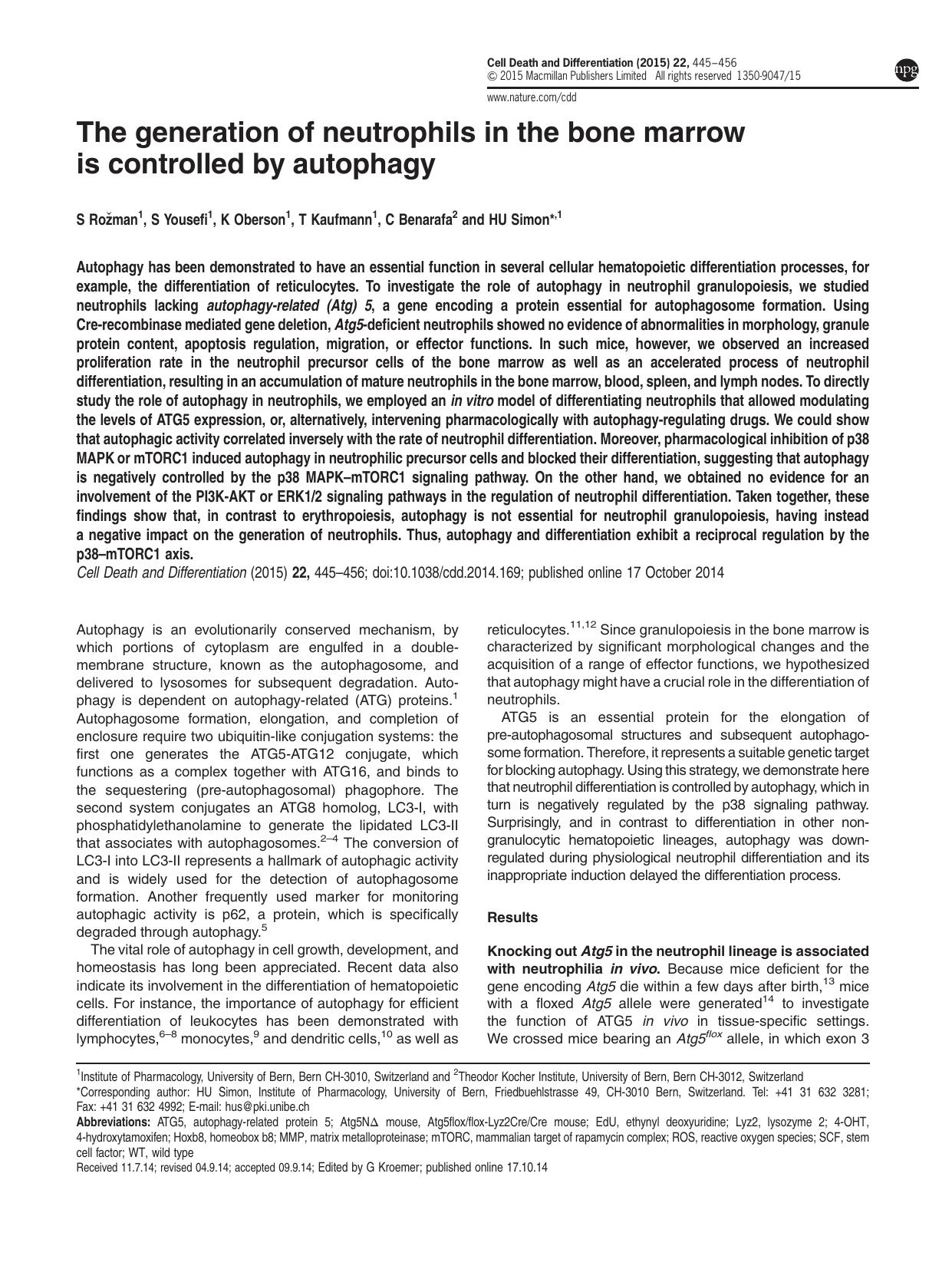 The generation of neutrophils in the bone marrow is controlled by autophagy by S Ro&&zcaron;man & S Yousefi & K Oberson & T Kaufmann & C Benarafa & H U Simon &