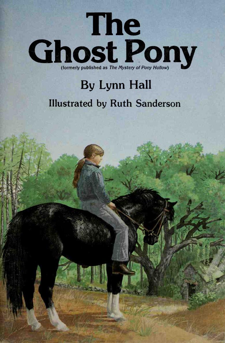 The ghost pony by Hall Lynn