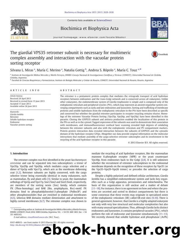 The giardial VPS35 retromer subunit is necessary for multimeric complex assembly and interaction with the vacuolar protein sorting receptor by Silvana L. Miras & María C. Merino & Natalia Gottig & Andrea S. Rópolo & María C. Touz