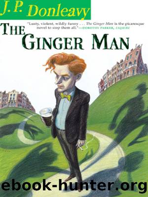 The ginger man by J. P. Donleavy & Jay McInerney