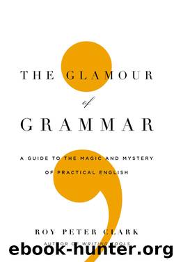 The glamour of grammar: a guide to the magic and mystery of practical english by Roy Peter Clark