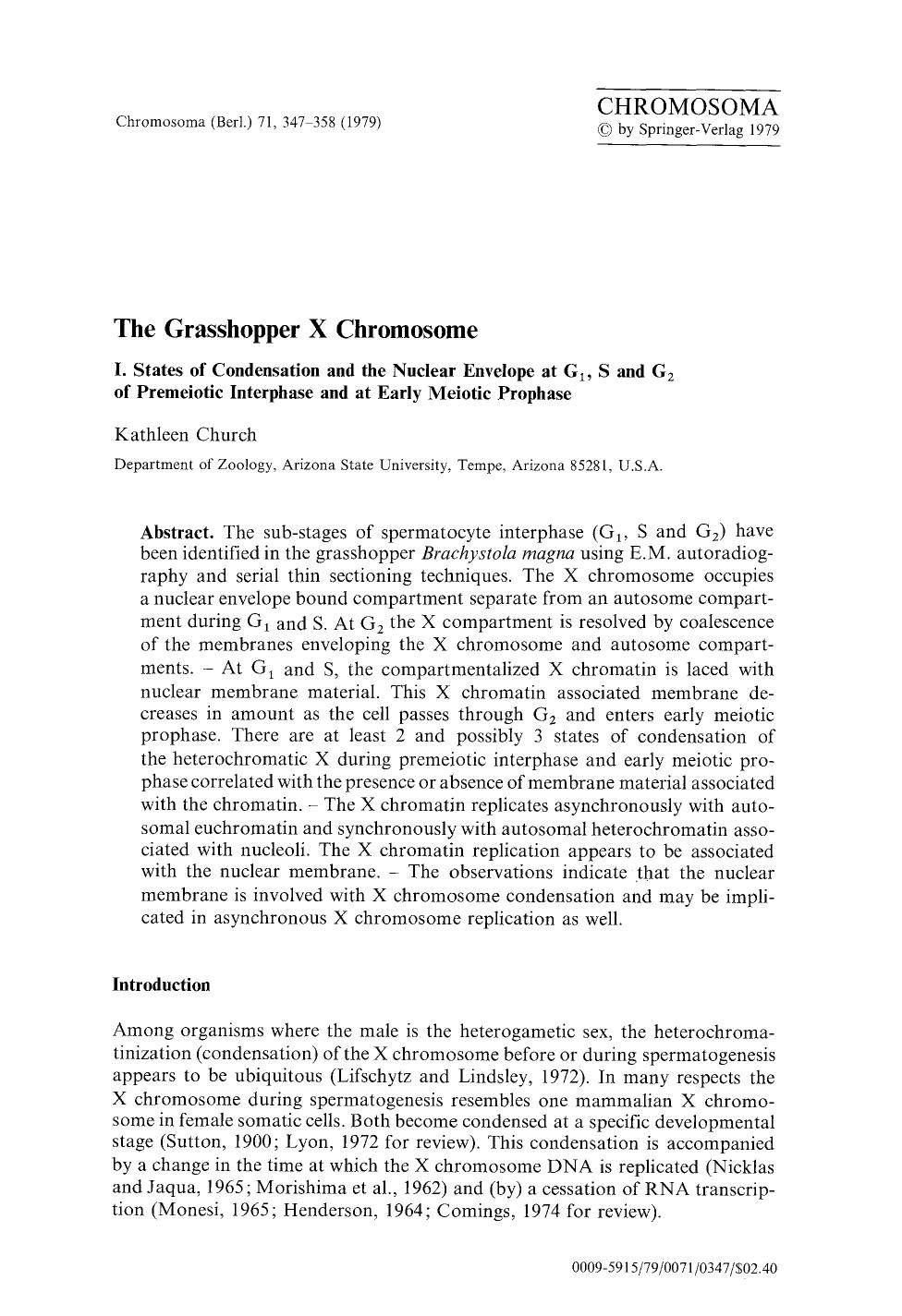 The grasshopper X chromosome by Unknown