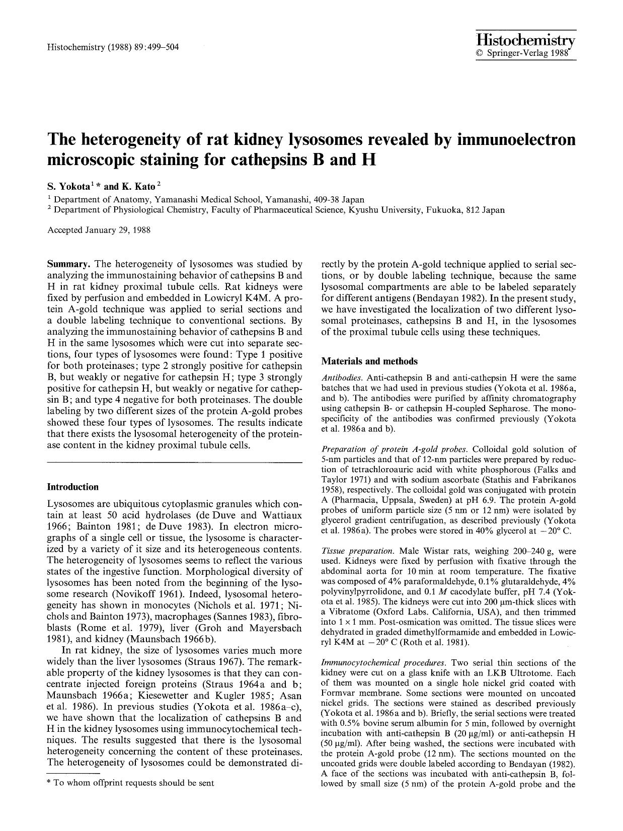 The heterogeneity of rat kidney lysosomes revealed by immunoelectron microscopic staining for cathepsins B and H by Unknown