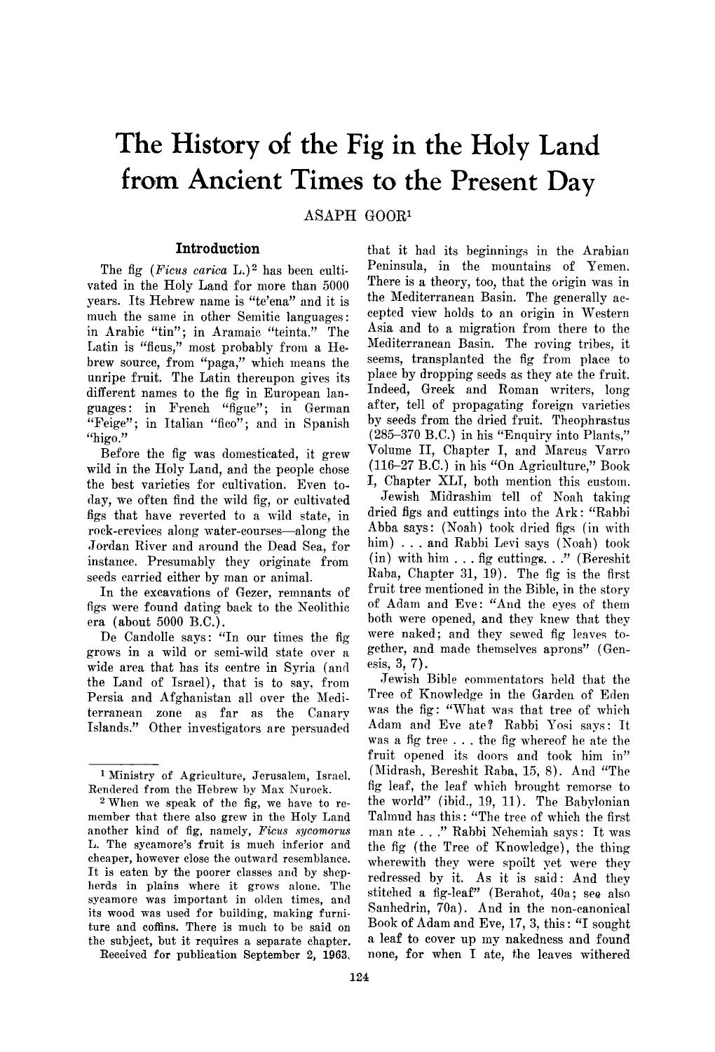 The history of the fig in the holy land from ancient times to the present day by Unknown