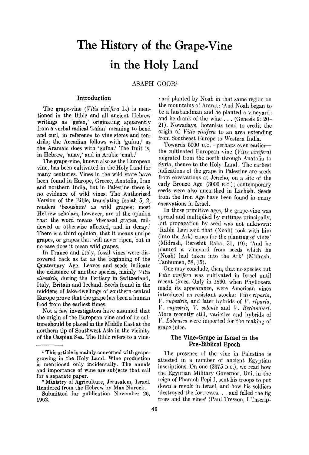 The history of the grape-vine in the holy land by Unknown