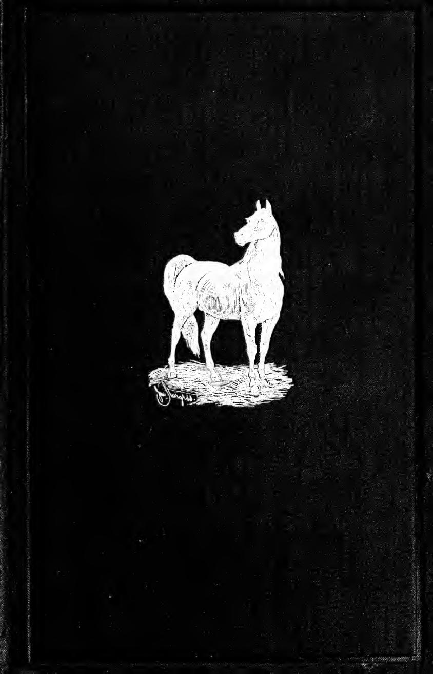 The horse : how to breed and rear him by Day William 1823-1908